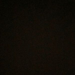 Meet your Posher, Shaylee